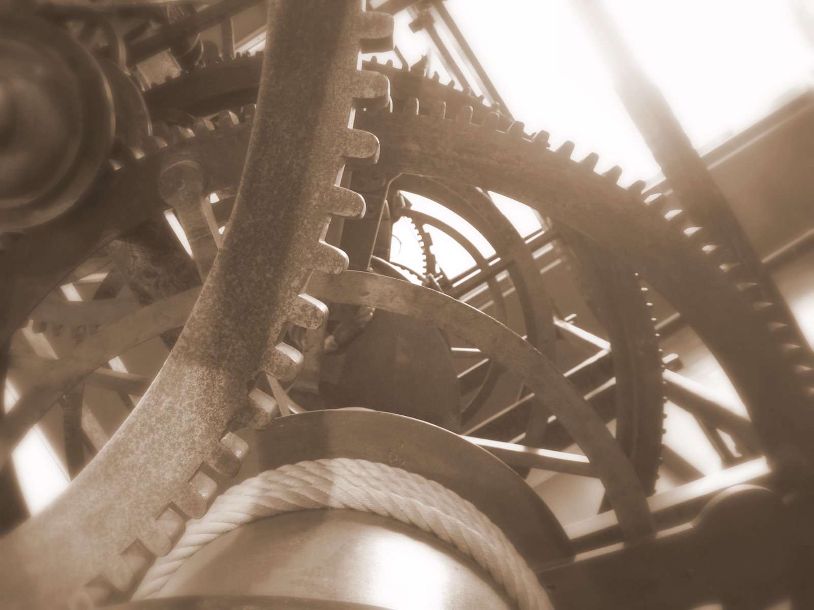 Favourite softwares and services